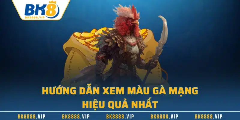 Hướng dẫn xem màu gà mạng hiệu quả nhất