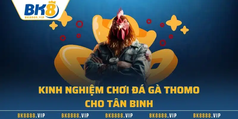 Kinh nghiệm chơi đá gà Thomo cho tân binh