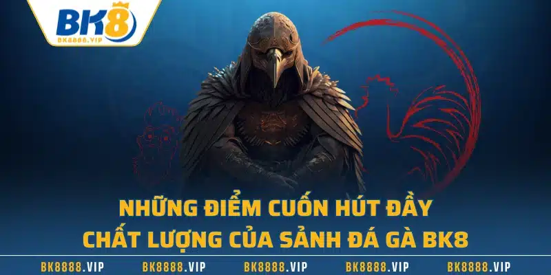 Những điểm cuốn hút đầy chất lượng của sảnh đá gà BK8