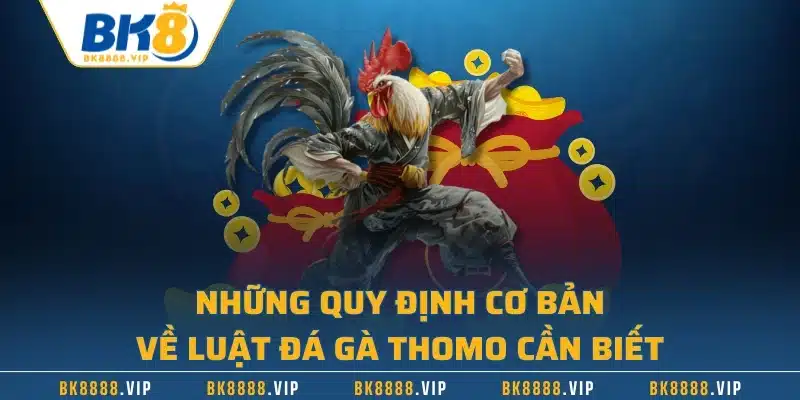 Những quy định cơ bản về luật đá gà Thomo cần biết