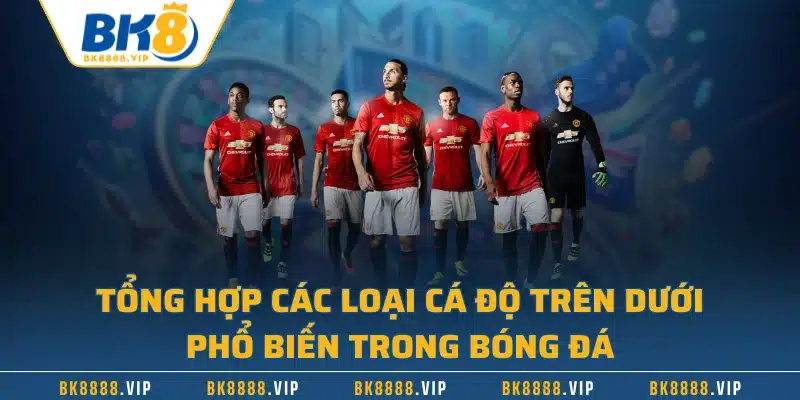 Tổng hợp các loại cá độ trên dưới phổ biến trong bóng đá